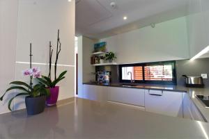 LOrangerie Green Garden by SAPvillas