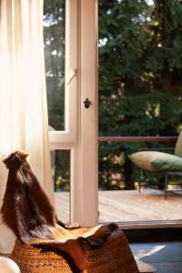 Holiday Cottage Pedja