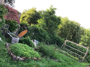 Maison rivière très calme près de Chablis et Noyers sur serein chez un céramiste designer