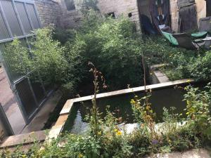 Maison rivière très calme près de Chablis et Noyers sur serein chez un céramiste designer