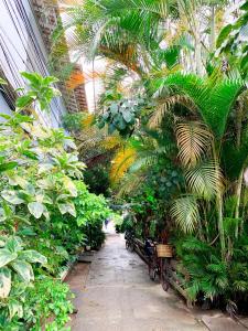 Apartamento encantador na Ilha da Gigóia (Barra da Tijuca)