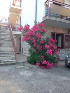 Apartments Ana - private parking