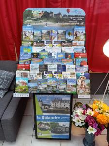 Hotels Astrotel Romorantin-Lanthenay : photos des chambres