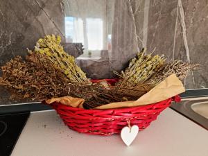 Lovely one bedroom studio in Tirana