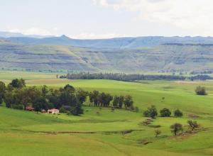 Fairbairn Guest Farm