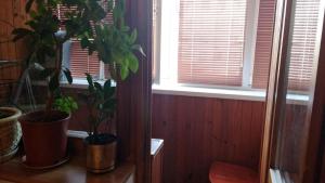 Бастионная 136