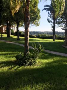 Nostrana Village Apartments