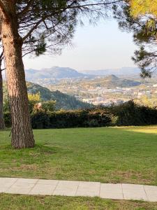 Nostrana Village Apartments
