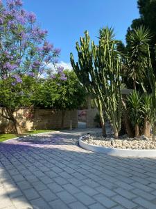 Nostrana Village Apartments