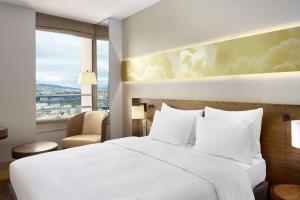 Hotels Radisson Blu Hotel, Lyon : Chambre Standard avec Vue sur la Ville