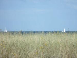 Haus Leuchtfeuer _ Objekt 33839