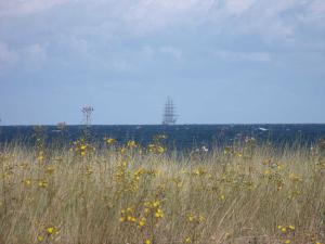 Haus Leuchtfeuer _ Objekt 33839