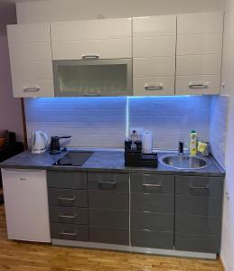 Apartments Enzo Kopaonik