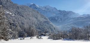 Chalets Magnifique chalet dans la vallee de Chamonix : photos des chambres