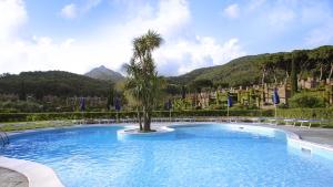 SantAnna del Volterraio - Limoni 4