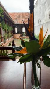 Bohemia Hotel Boutique