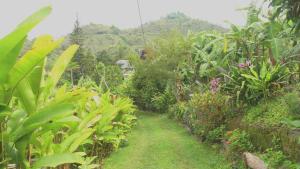 Villa Migelita Ecolodge