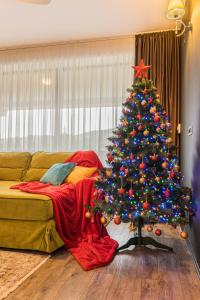 MAIO Studio Silver Mountain Poiana Brasov