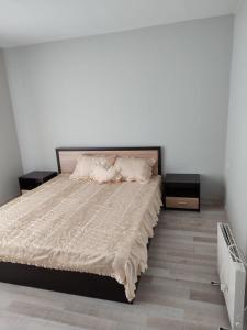 Стаи за гости РИЛА