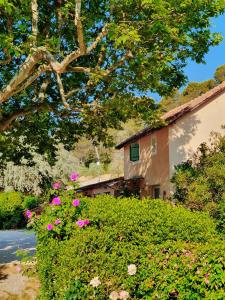 Maisons de vacances L'Oustaou du Luberon et SPA : photos des chambres