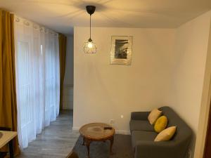 Appartements Epinal : superbe appartement en plein centre ville : Appartement 1 Chambre