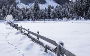 Apartment Mitterdorfer