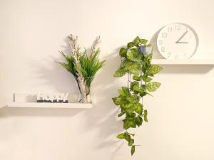 Mountain Heaven Apartment