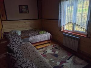 Бадьорість карпат