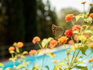 Villa LO SCHIOPPO vista mare