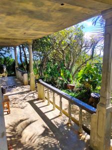 White Monkey Dias Rest