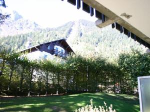 Studio Chamonix Mont Blanc 1 pièce 2 personnes  FR 1 517 3