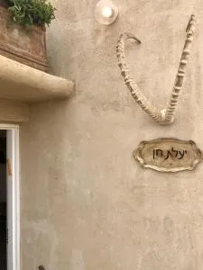 יעלת חן Ya'alat hen - 玛莎比赛德