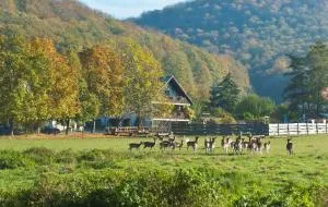 Pension Margarete - Handthal