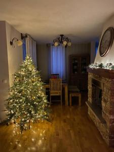 Remarkable home Bohinj Lake