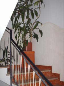 Hotel Triana e Tyche