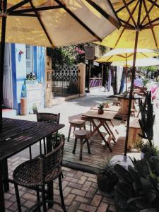 Tropicália Hostel e Pousada