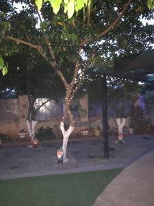 Alquiler San Bernardino Altos Loma grande