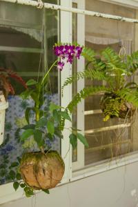 Manh Duyen Garden Homestay