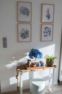 Apartament HAMPTONS Gdynia