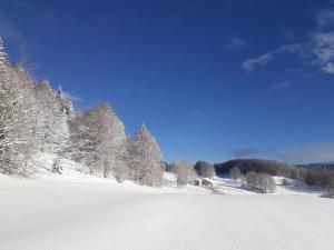 Maisons de vacances Gite des 3 Marches : photos des chambres