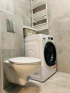 Apartament Przytulny