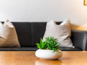 Apartment Plathner by Interhome