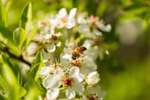 Agriturismo Canales img41