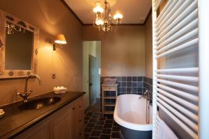 Château de Planchevienne