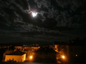 Apartments in House Silent Nature