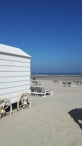 Scarphout genieten aan zee