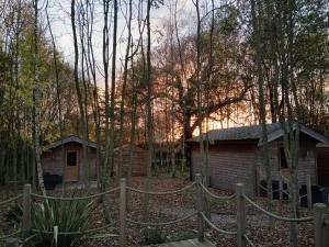 Riddings Wood lodges