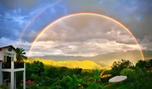 Cabañas Los Tulipanes - Tena