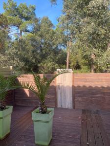 Le Cocon Gite ou chambre dhôte