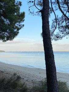 Maisons de vacances Le Cocon Gite : photos des chambres